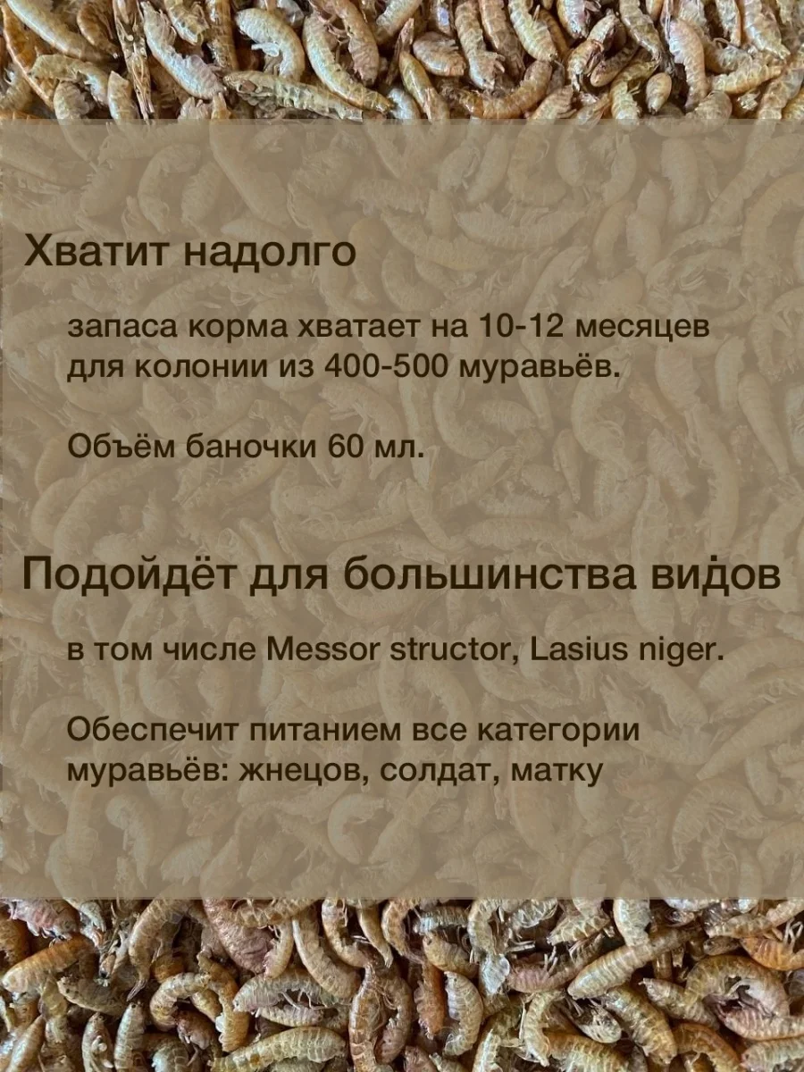Корм для муравьев Messor Structor, зерновой