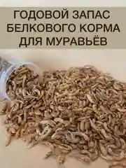 Корм для муравьев Messor Structor, зерновой