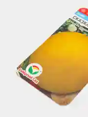 Семена Дыня "Сказка" набор 1, 3, 5 уп