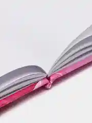 Конфетный тетрадь подарочная для девочек