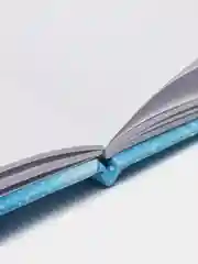 Аметистовый тетрадь подарочная для девочек