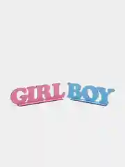 Надписи "Boy" и "Girl" для гендер пати gender party, мальчик или девочка
