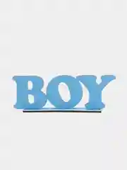 Надписи "Boy" и "Girl" для гендер пати gender party, мальчик или девочка