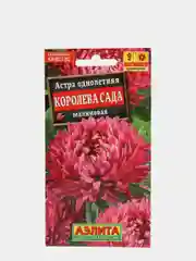 Семена цветов Астра "Королева сада малиновая"