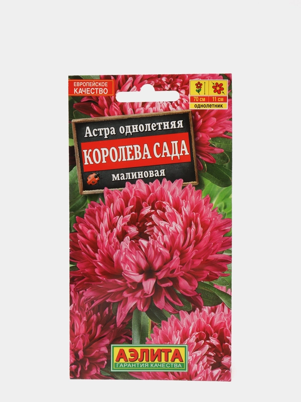 Семена цветов Астра "Королева сада малиновая"