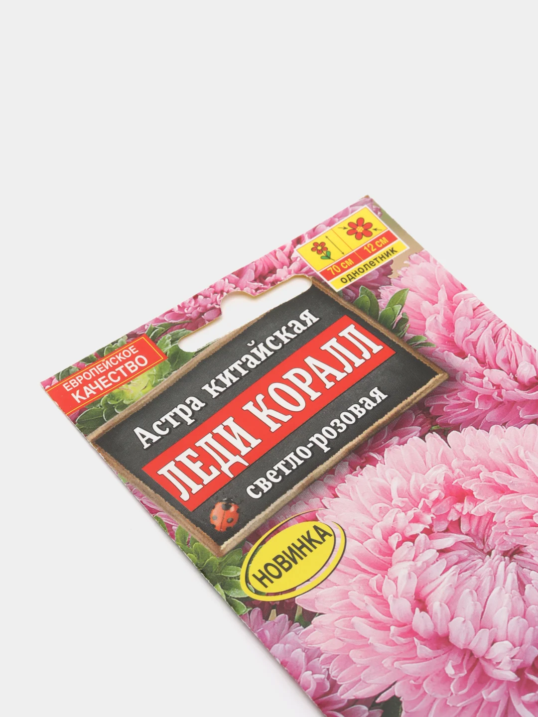 Астра китайская "Леди Коралл", светло-розовая