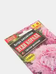 Астра китайская "Леди Коралл", светло-розовая