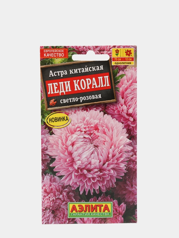 Астра китайская "Леди Коралл", светло-розовая