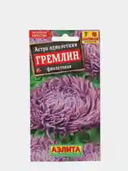 Семена цветов Астра однолетняя "Гремлин фиолетовая"