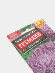 Семена цветов Астра однолетняя "Гремлин фиолетовая"