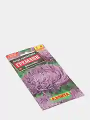 Семена цветов Астра однолетняя "Гремлин фиолетовая"