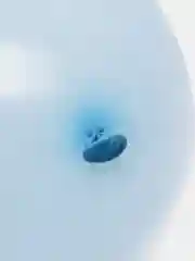 Лазурный воздушные шарики по 1 шт