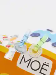 Обучающий набор с прищепками "Мой, моя, моё, мои"