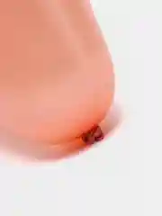 Оранжевый латексные воздушные шары, 1 штука