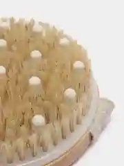 Щётка для тела массажная с ремешком Доляна, 10 х 10 х 3,4 см, натуральная щетина