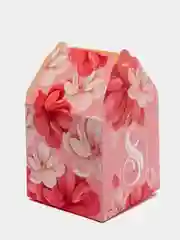 Коралловый меланж коробка складная девушке, 20 видов