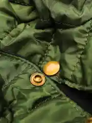 Зеленый куртка с капюшоном, для собак, зимняя