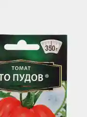 Томат, Сто пудов (семена)