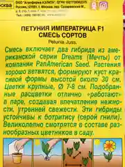 Петуния Императрица (семена,цветы)