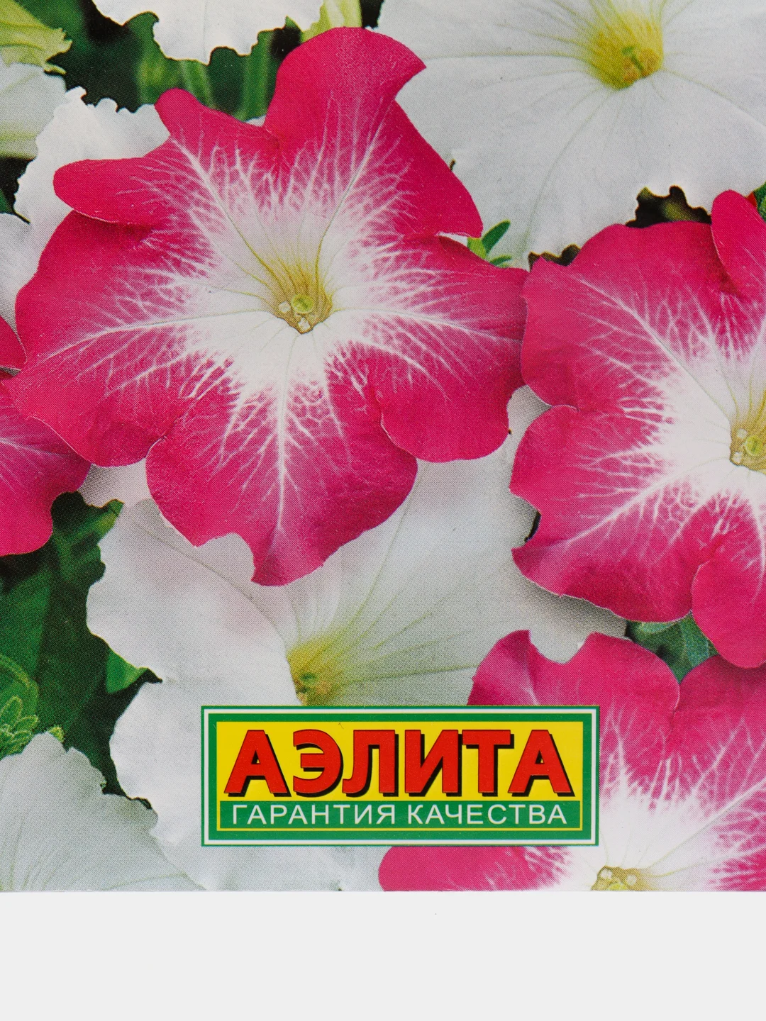 Петуния Императрица (семена,цветы)