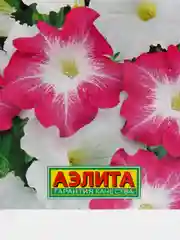 Петуния Императрица (семена,цветы)