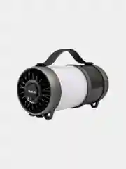ДИАЛОГ AP-1010 12W FM