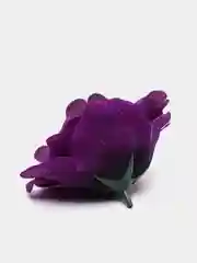 Фиолетовый головы цветов