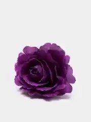 Фиолетовый головы цветов