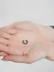 Серебряный сегментное кольцо для пирсинга