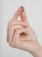 Серебряный сегментное кольцо для пирсинга