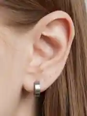 Серебряный сегментное кольцо для пирсинга