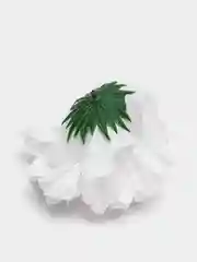 Белый головы цветов