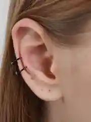 Черный зажим для ушей, набор из двух штук