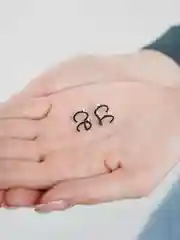 Черный зажим для ушей, набор из двух штук
