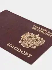 Коричневый обложка на паспорт из натуральной кожи
