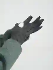 Серебряный женские утепленые перчатки сенсорные