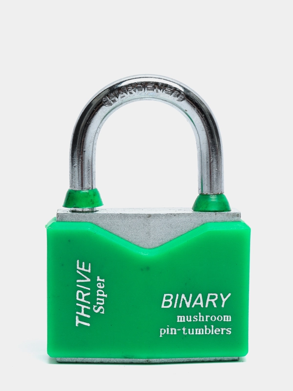 Замок навесной влагозащищенный с защитой от отмычек Binary 50 мм