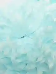 Мятный повязки "Цветы"