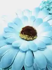 Морской повязки "Цветы"