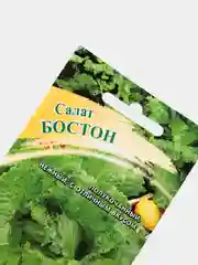 Семена салата "Бостон"