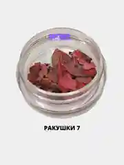 Ракушки для дизайна ногтей The Factory Nail, ракушечник