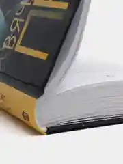 Грубый секс и нежный бунт, Прах В
