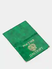 Зеленый обложка для паспорта с гербом, печать золотом