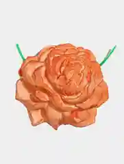Коралловый минеральный камень для птиц