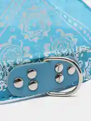 Голубой ошейник-бандана для животных