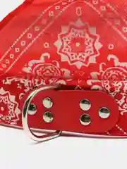 Красный ошейник-бандана для животных