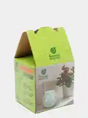 Аромалампа "Бабочки"
