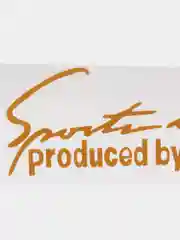 Желтый наклейка на авто "Sports mini produced by sports"