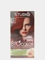 Studio Biocolor Краска для волос 7.43 Огненный рыжий, 50/50/15 мл