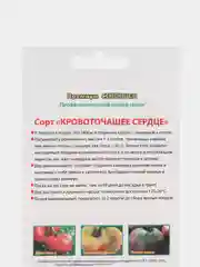 Семена томата "Кровоточащее сердце", Мязина